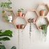 10 Indoor Plant Shelf Ideas to Make More Space for Green