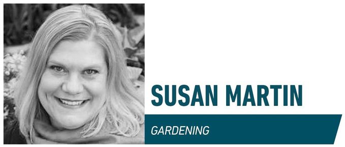 Gardening Susan Martin Family Handyman