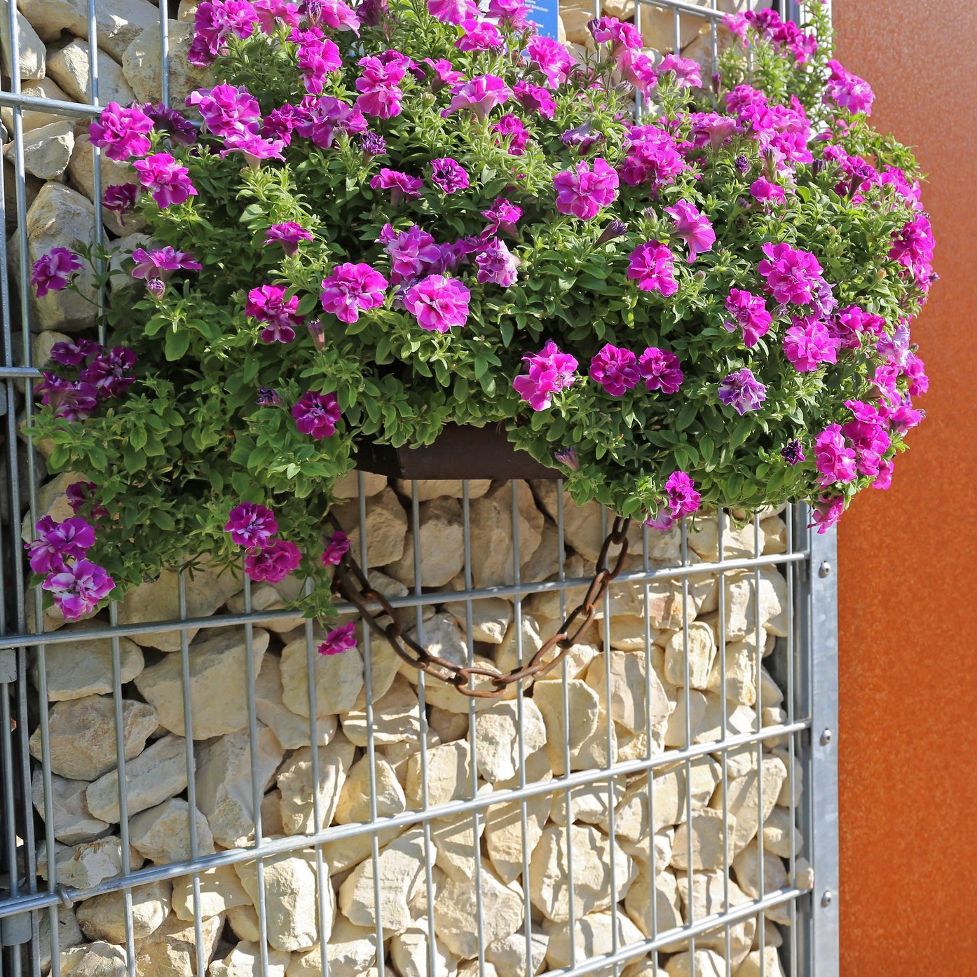 Gabion fence wall with flowers