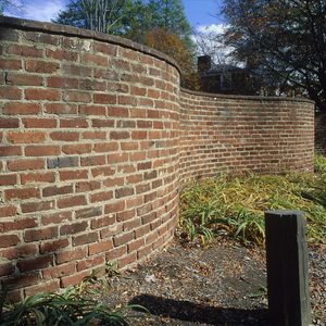 A curved brick wall stands in a garden, surrounded by green plants and scattered leaves, under a bright blue sky with a few clouds.