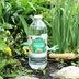 7 Ways To Use Vinegar In the Garden — Or Not