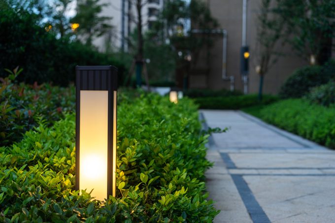 bollard lights in a bush illuminating a pathway