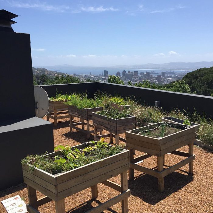 Wooden planter boxes are filled with various plants, standing on a rooftop terrace overlooking a cityscape and distant mountains under a clear blue sky.