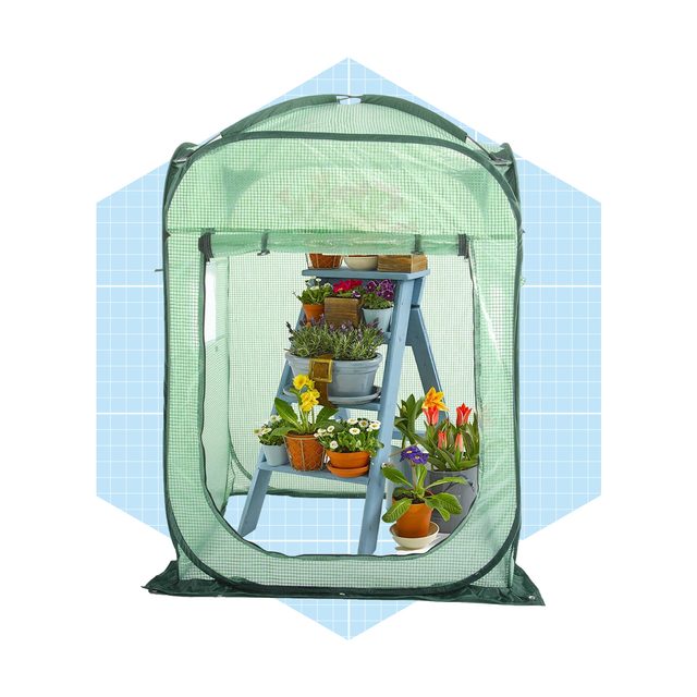 A green mesh greenhouse holds potted plants on a tiered stand, showcasing various flowers. The backdrop features a light blue grid pattern.