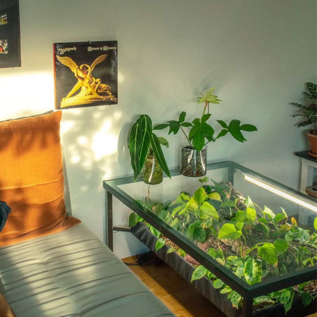 A glass table with plants is illuminated by natural light, adjacent to a cozy couch and a decorative album cover hanging on the wall.