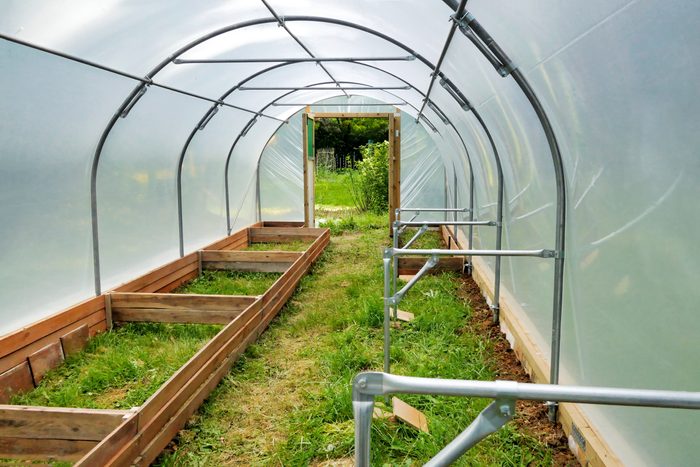 A greenhouse with wooden planting beds is actively prepared for gardening, situated in a grassy area under a bright, natural light.