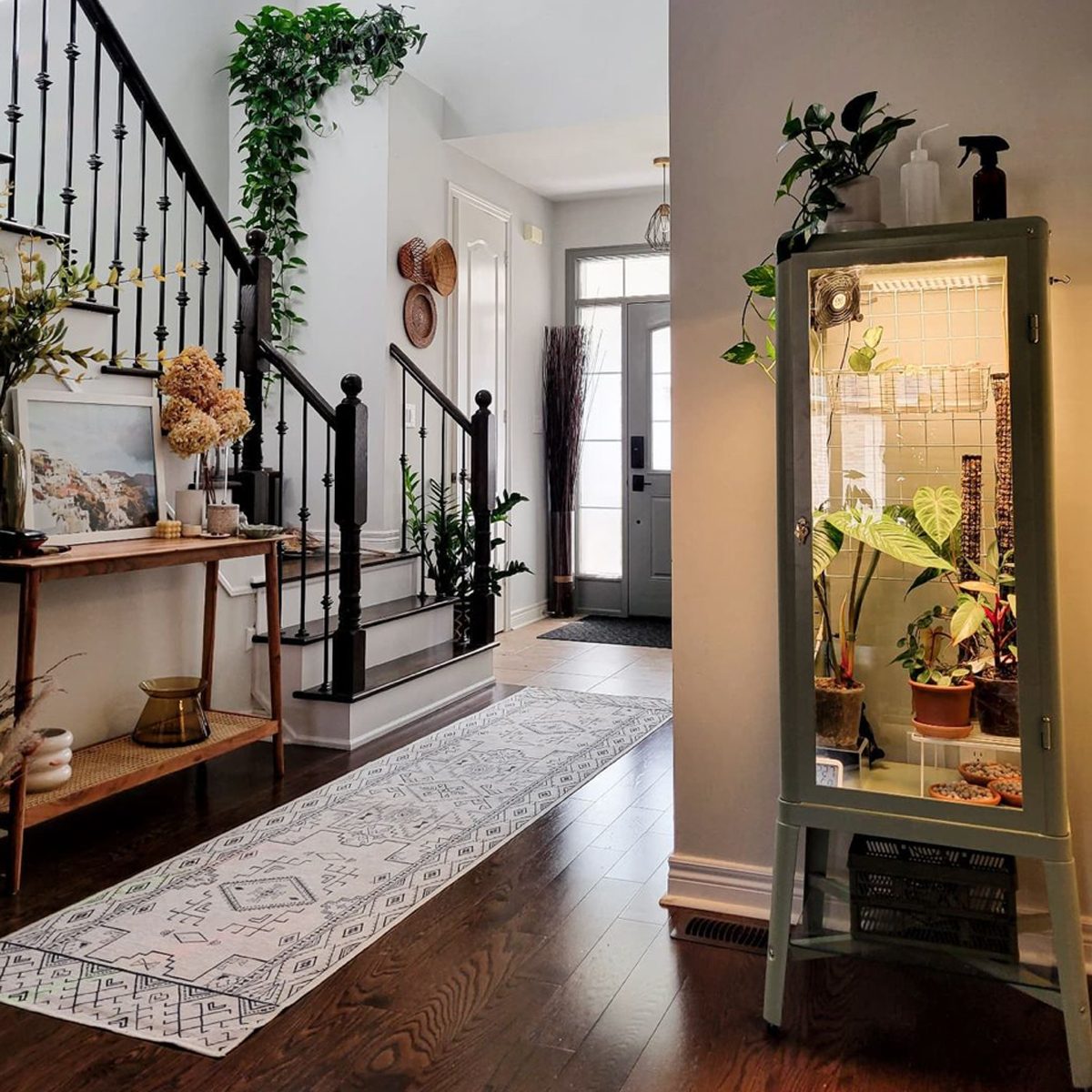 A glass cabinet houses plants, while a patterned runner leads to a staircase and entrance. Greenery and decor enhance the serene foyer ambiance.