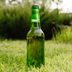 Fertilizing Your Lawn with Beer — Is It a Lawn Care Hack or Hoax?