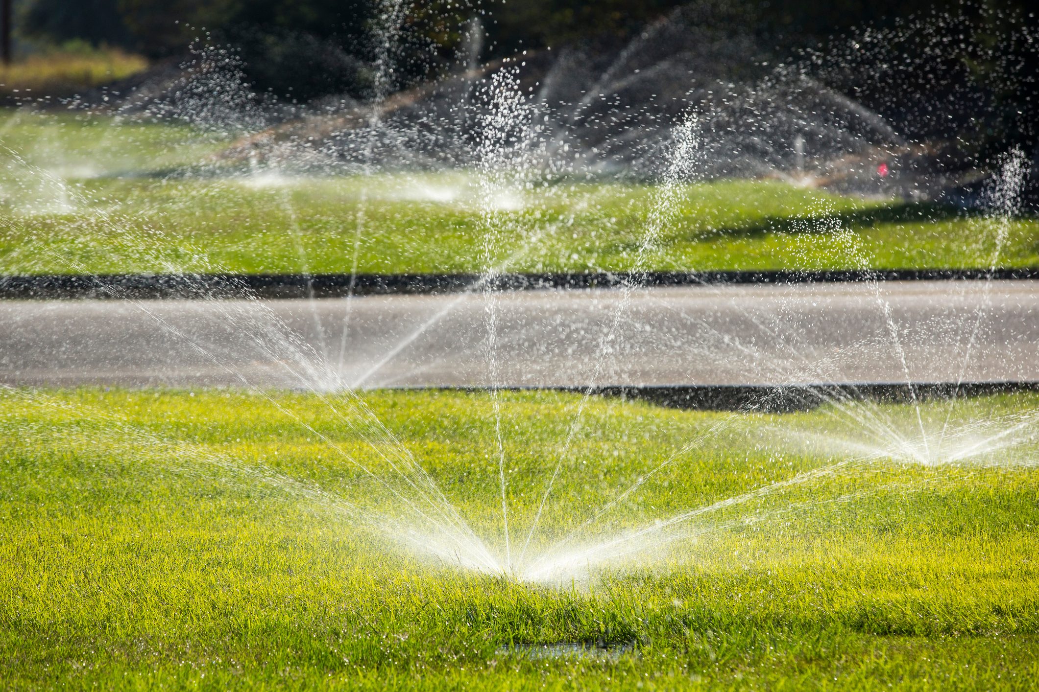 Homeowner’s Guide To Irrigation Systems