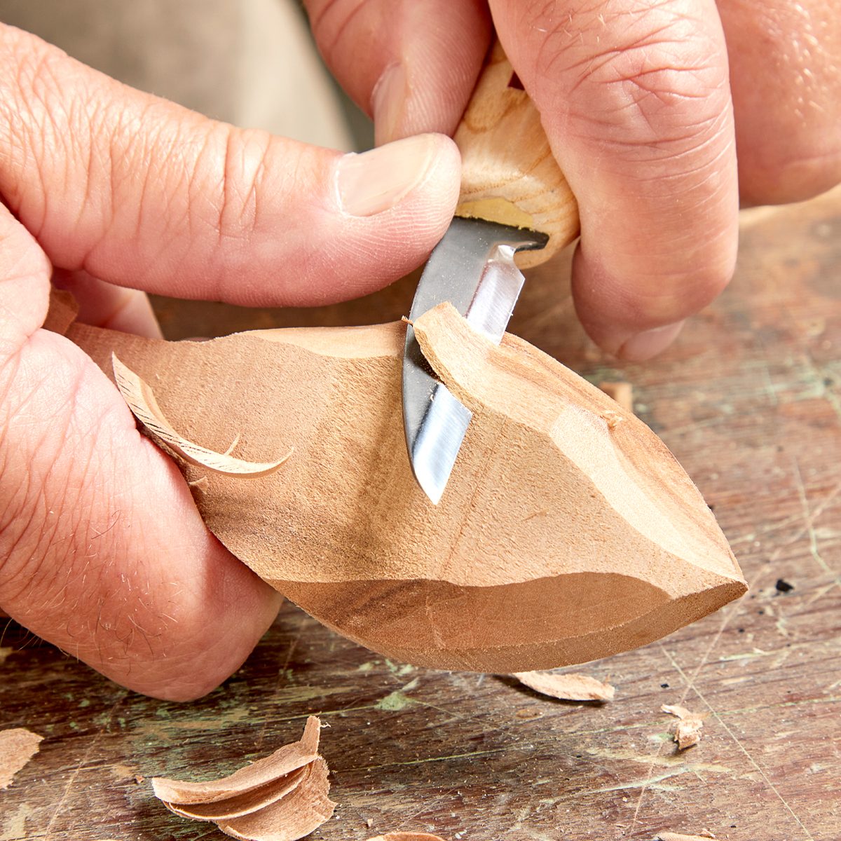 Fh23djf 622 52 007how To Hand Carve A Wooden Spoon