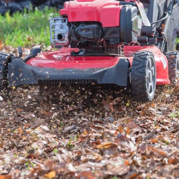 A red lawn mower moves through a carpet of fallen leaves, cutting and scattering them across a grassy area under daylight.