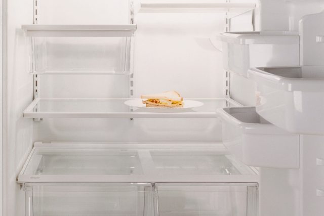 Sandwich in Empty Refrigerator