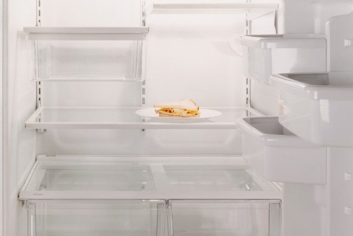 Sandwich in Empty Refrigerator