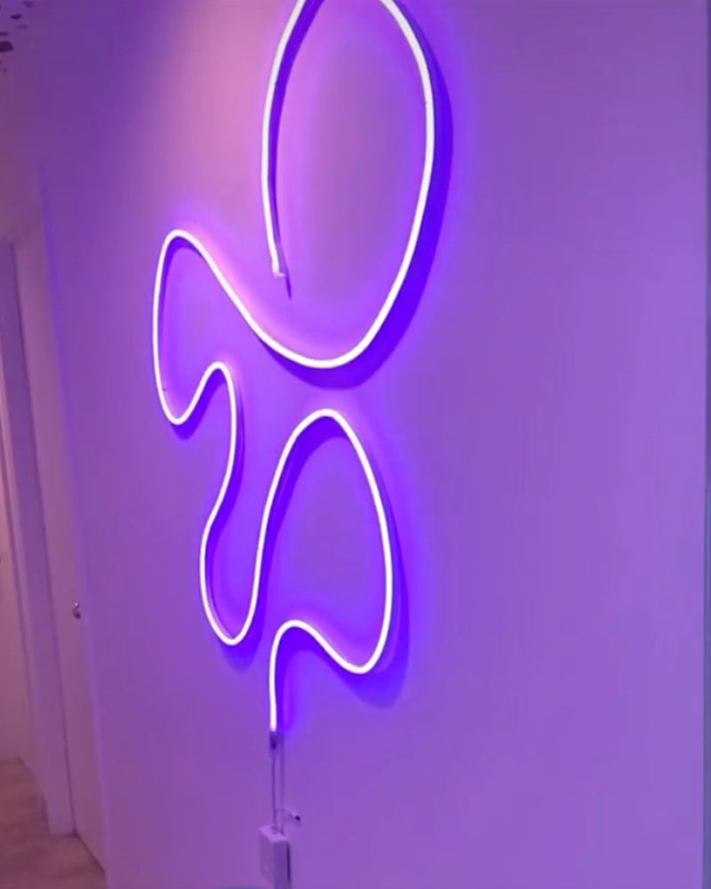 Led Rope Light Courtesy @emilyrayna Tiktok