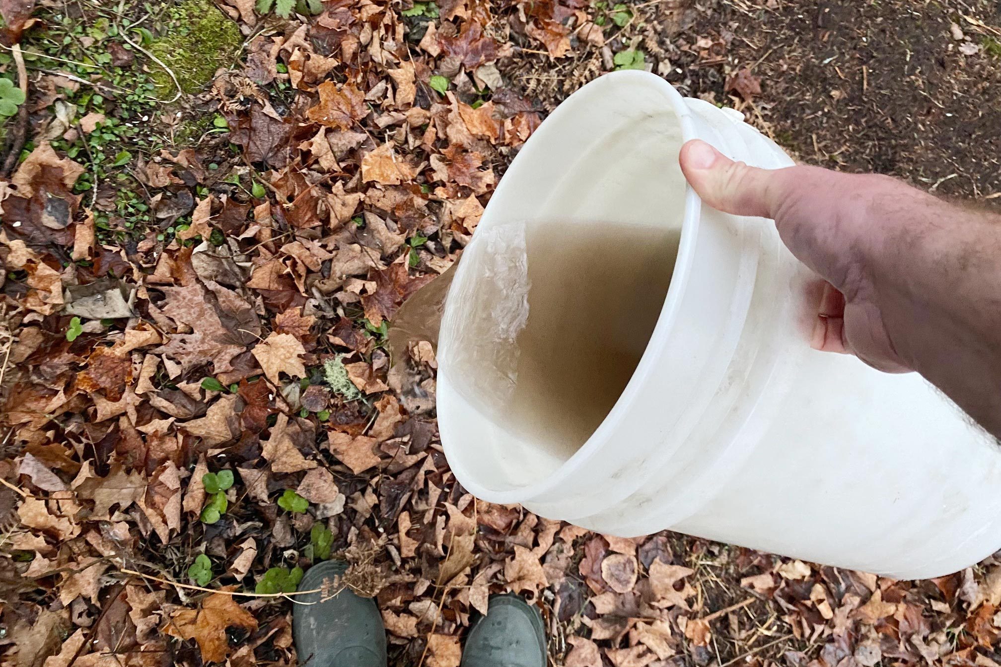 A hand tilts a white bucket, pouring liquid onto a ground covered in brown and green leaves, surrounded by forest undergrowth.