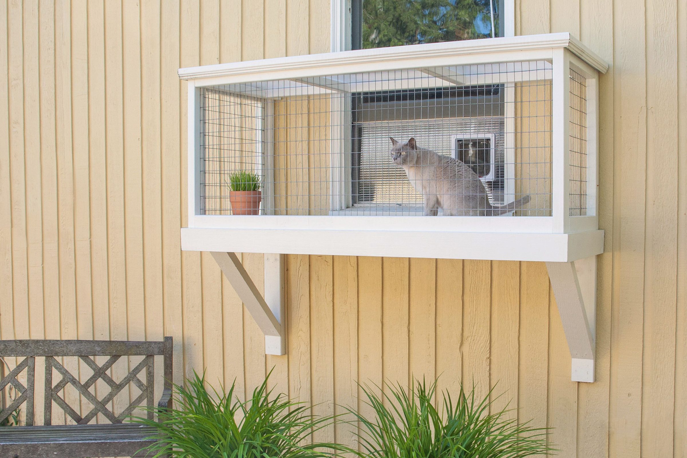 What Is a Catio? Benefits, DIY Tips and Design Ideas