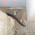 What Is Drain Tile? Here's What To Know About Drain Tile