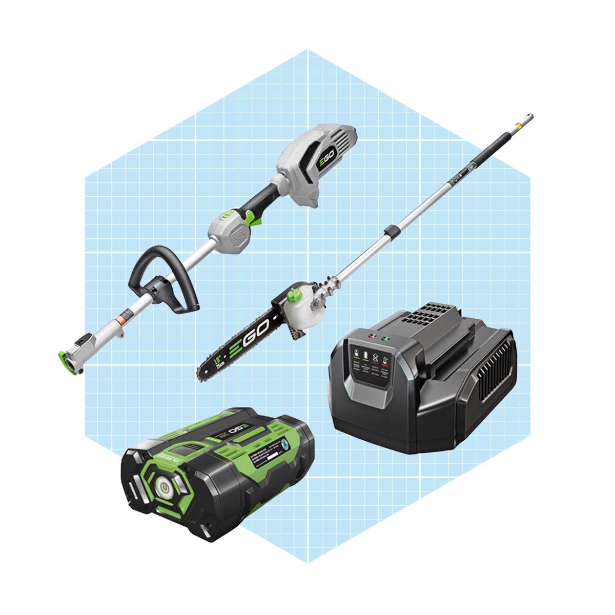 Ego Power+cordless Electric Pole Saw