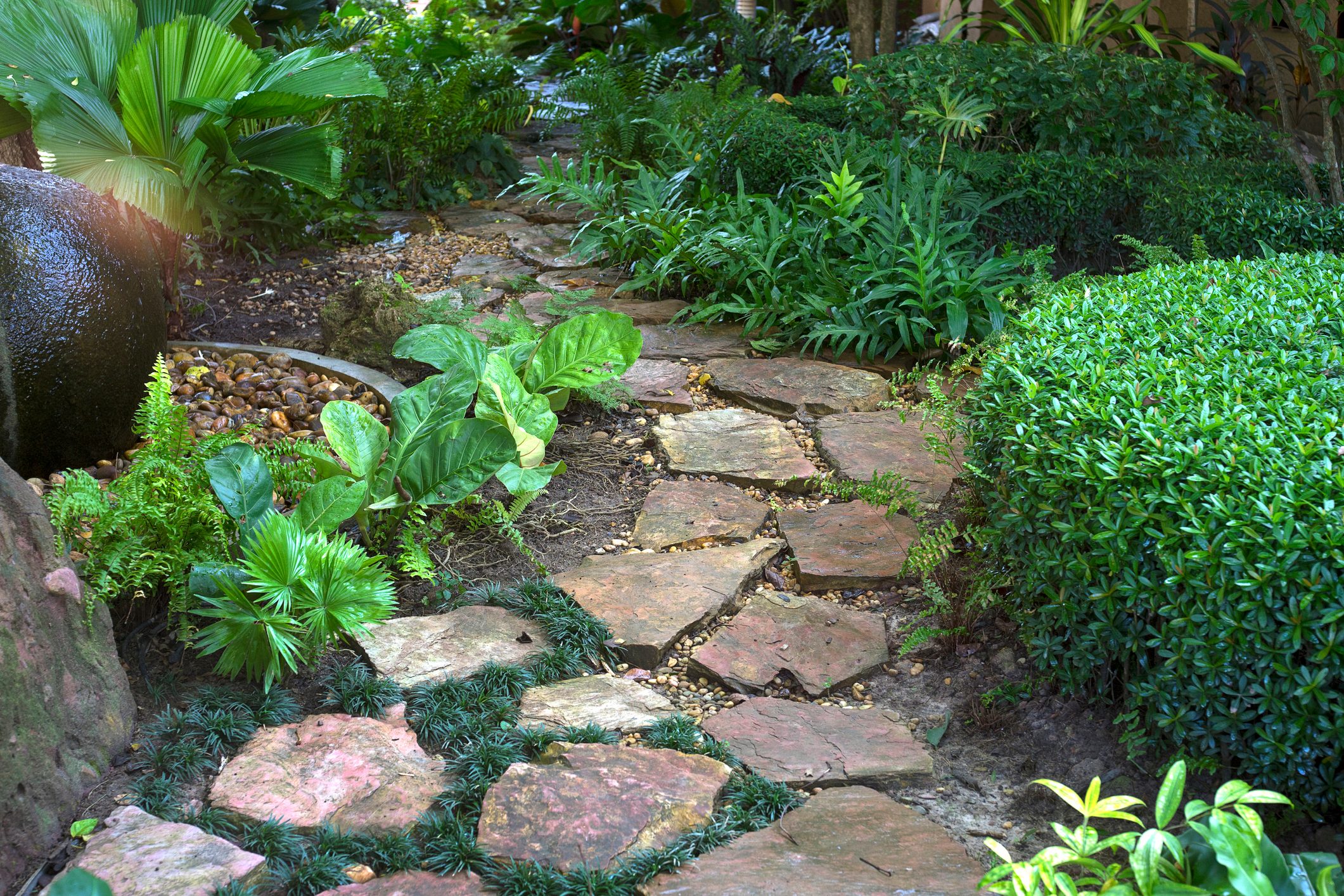 stone walkway in garden