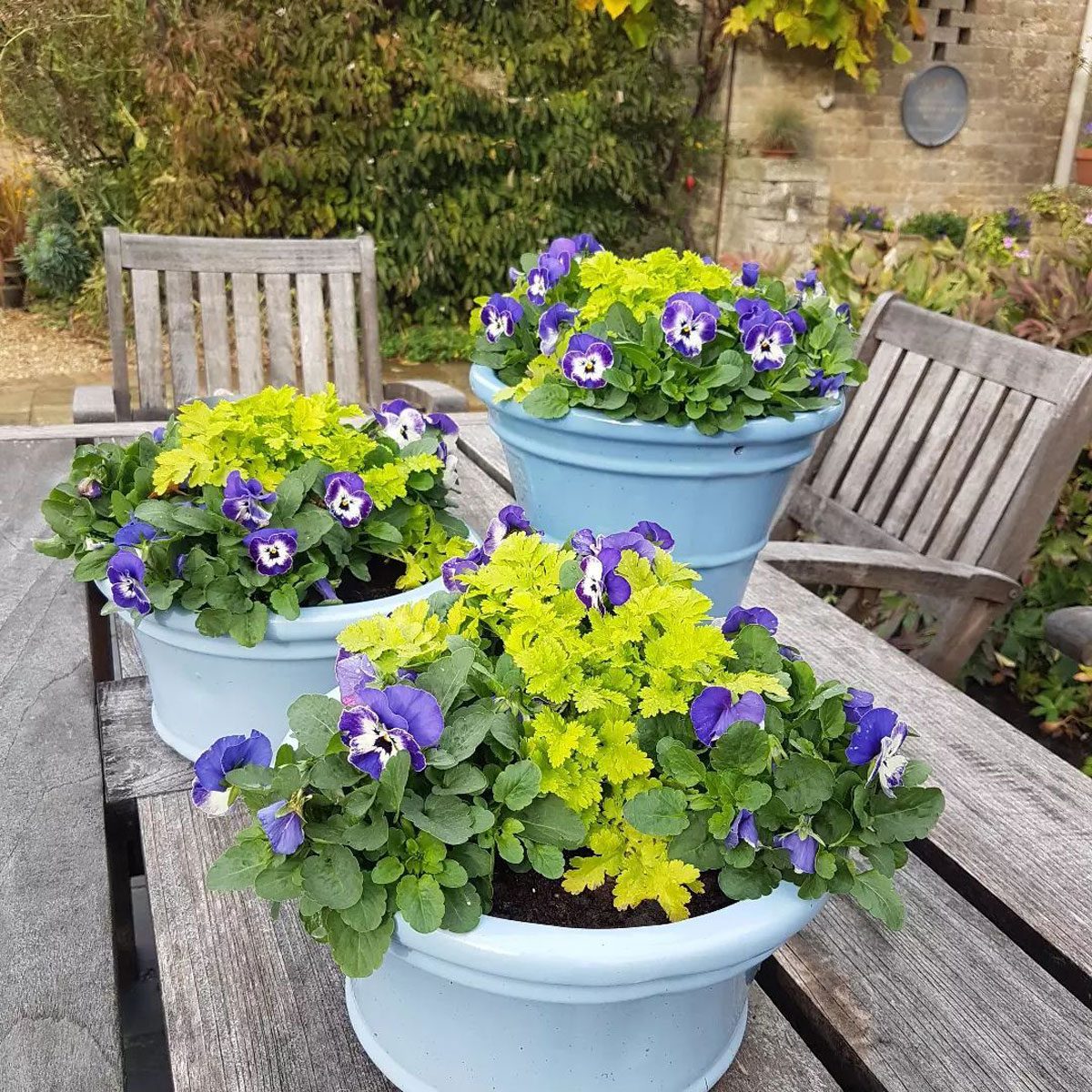 Multi Season Tabletop