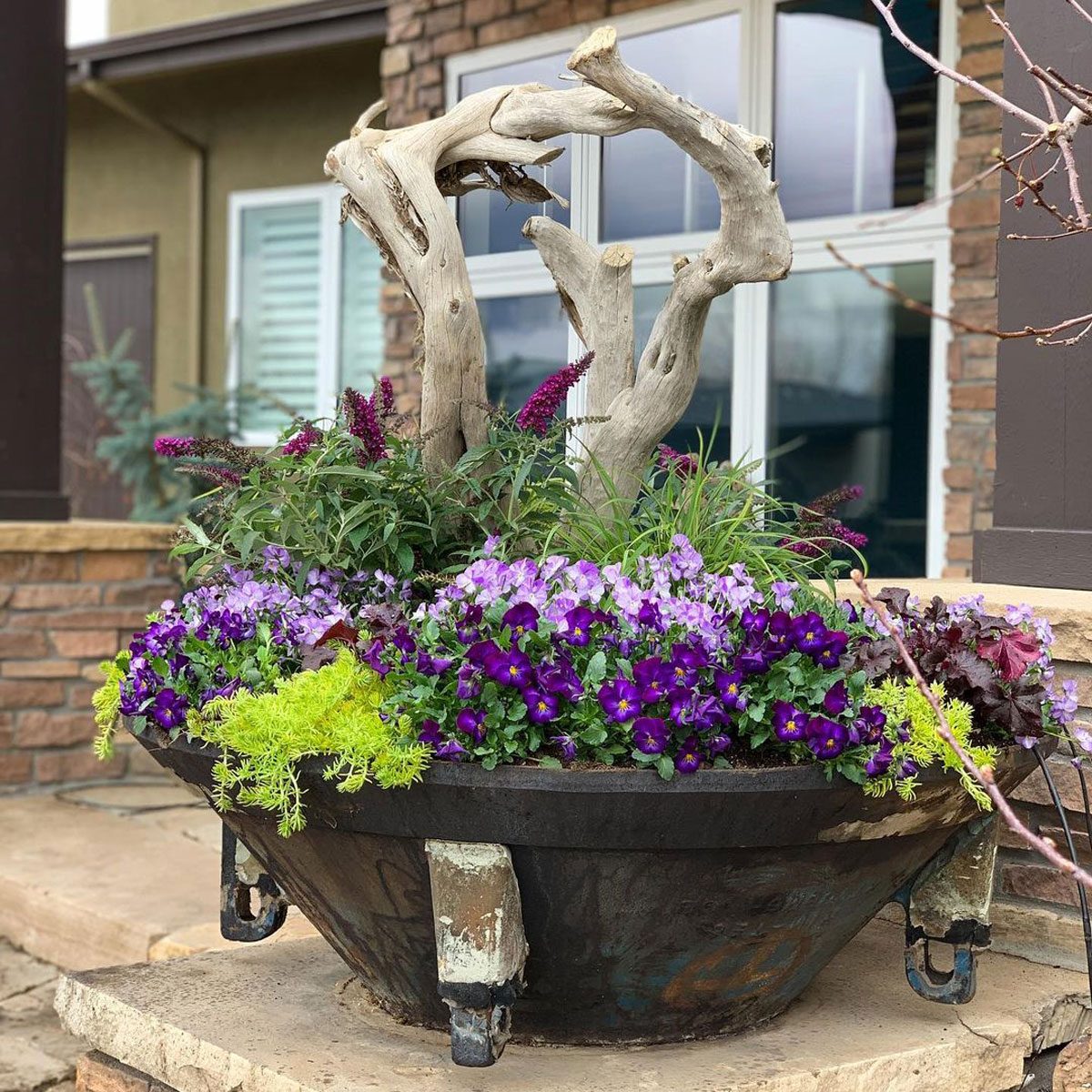 Sculptural Driftwood