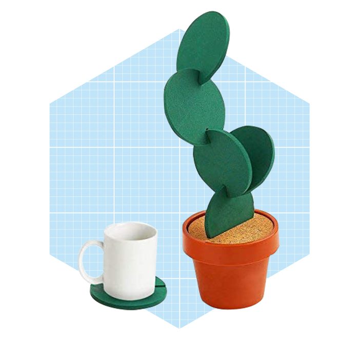 A green plant with circular leaves stands in a brown pot filled with sand, next to a white cup on a green saucer, against a blue grid background.
