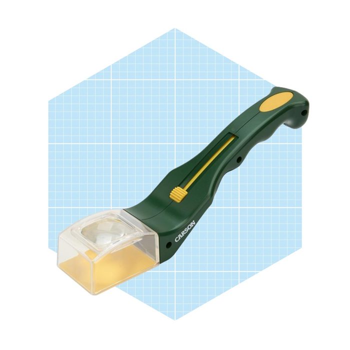 A handheld magnifier with a green handle is being positioned above a surface, set against a light blue grid background.
