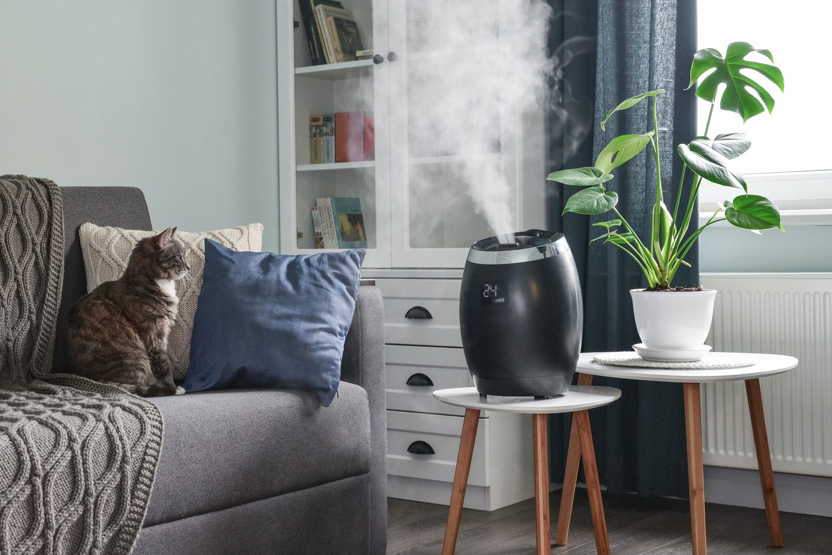 Ultrasonic cool mist humidifier