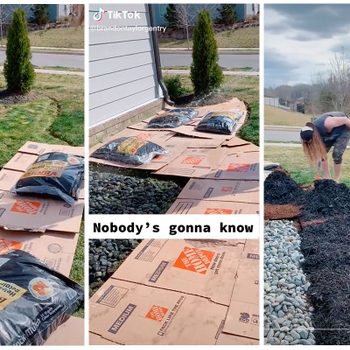 Bags of mulch are being spread over cardboard on a grassy area, while a person works in a residential yard during sunny weather.