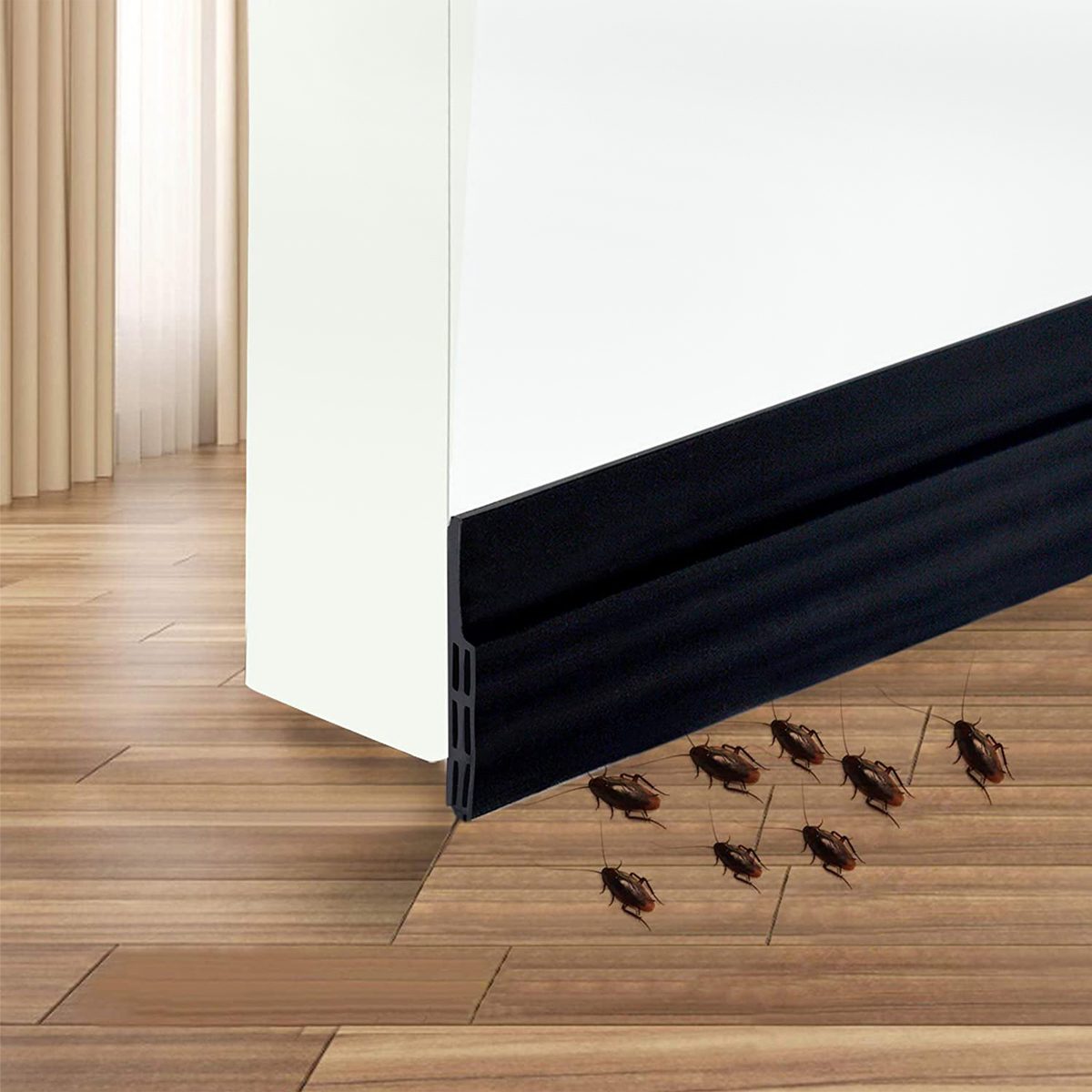 Several brown cockroaches crawl along a wooden floor near the base of a wall, which has a black seal at the bottom. Curtains are visible in the background.