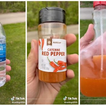 A hand holds a water bottle, then a spice jar, and finally a bottle with a red liquid, positioned outdoors on green grass.