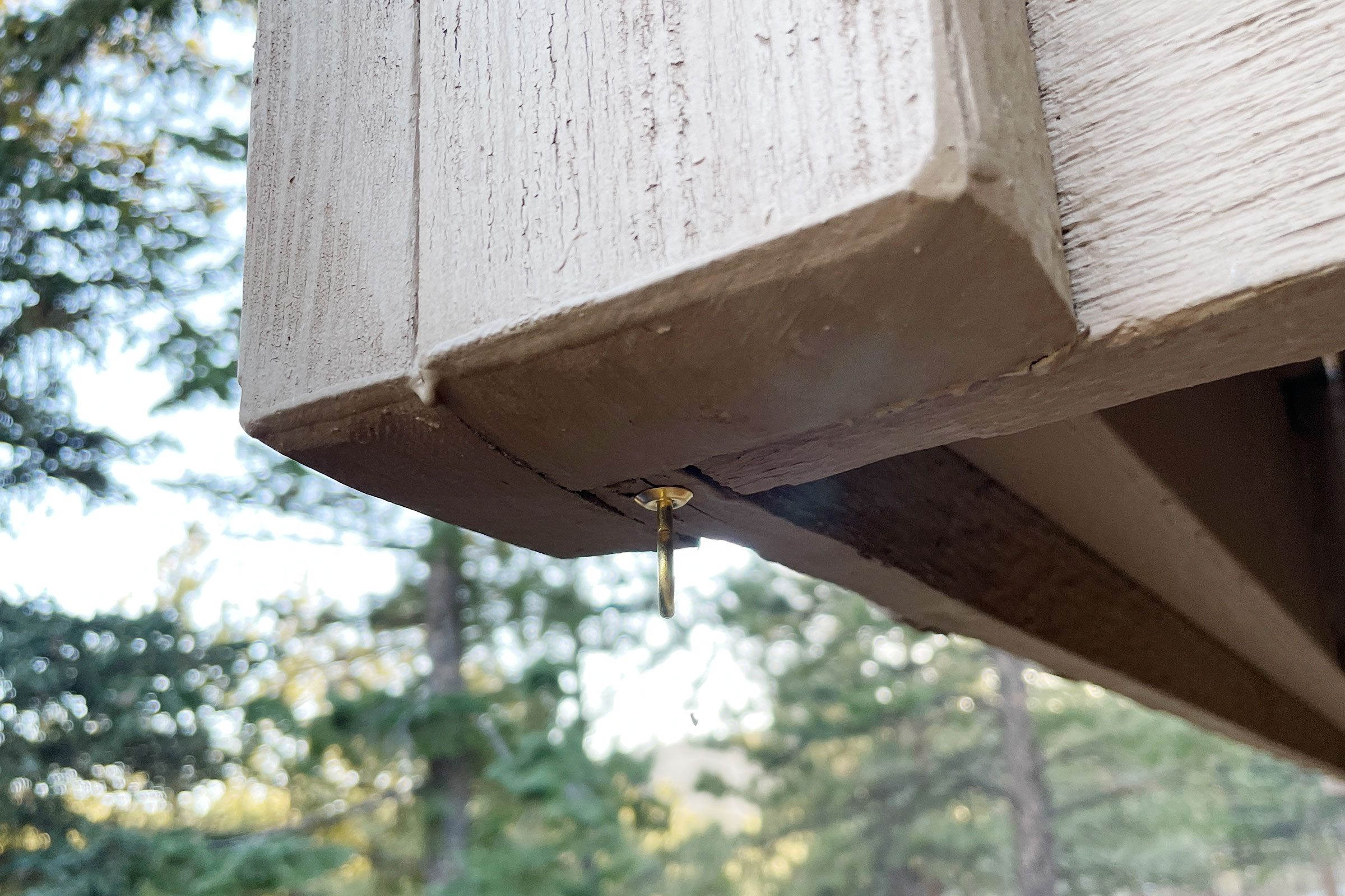 hanging string lights