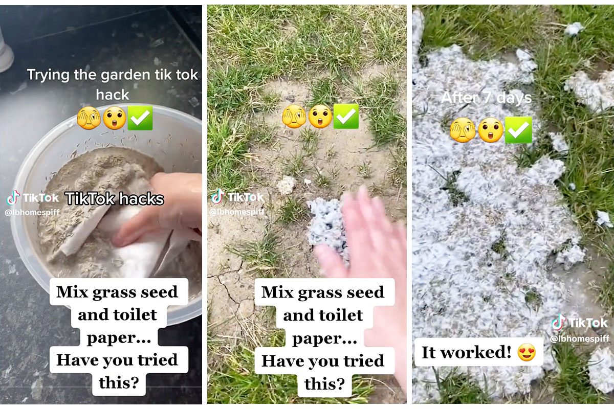 If You Need to Patch Lawn Gaps, Try This Toilet Paper Hack