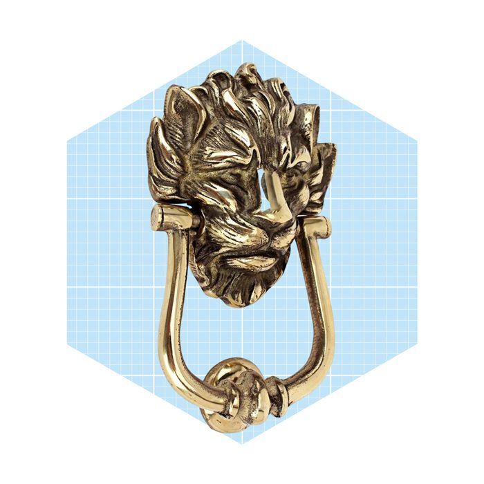 A lion-shaped door knocker hangs, poised for use, against a light blue grid background, suggesting an elegant entryway detail.