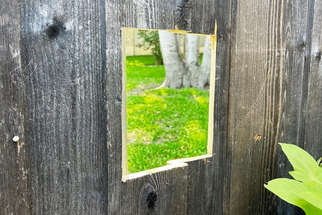 hole I the fence for a dog window