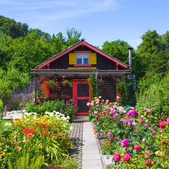 A colorful wooden house stands surrounded by vibrant flowerbeds, while sunlight illuminates the lush greenery and blue sky in the background.