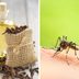 Clove Oil Bug Repellent  - DIY Recipe For Natural Pest Control