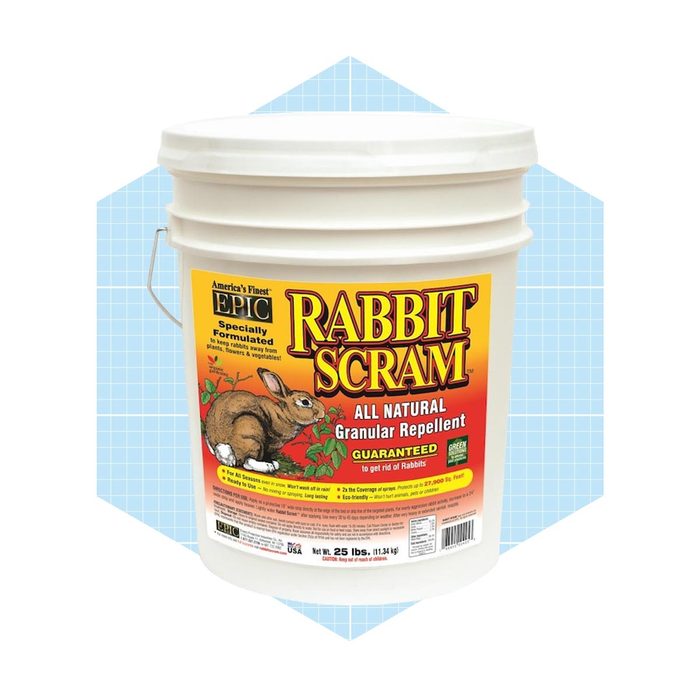 A white bucket labeled 