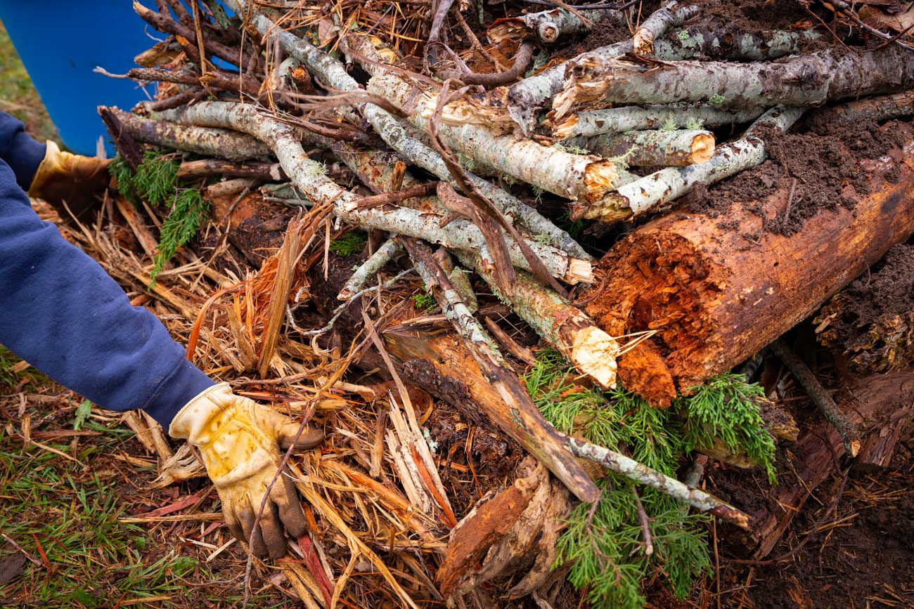 Person Adding Shredded Cedar Woodchips To The Base Of A Hügelkultur Bed