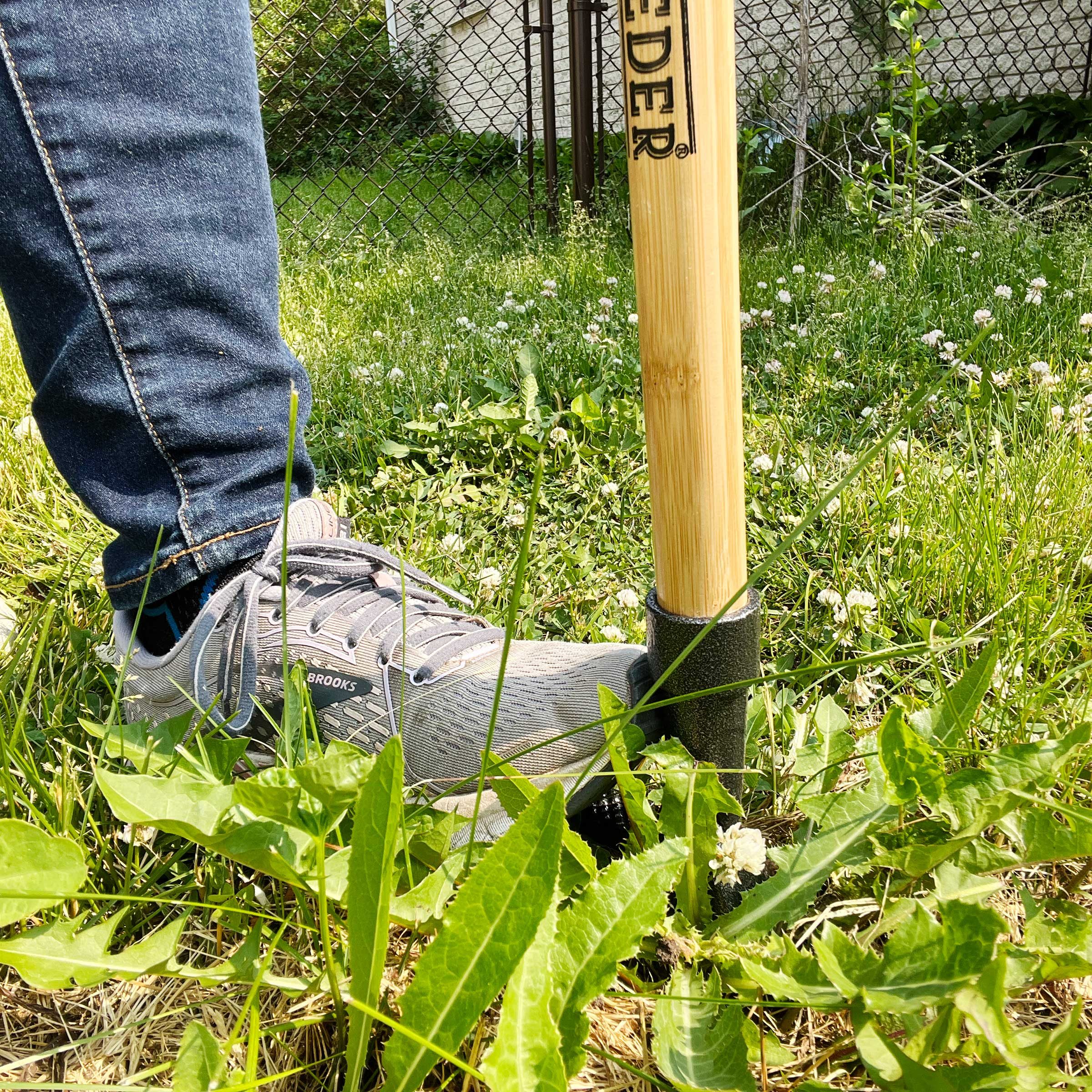 Img 5702 Grampas Weeder