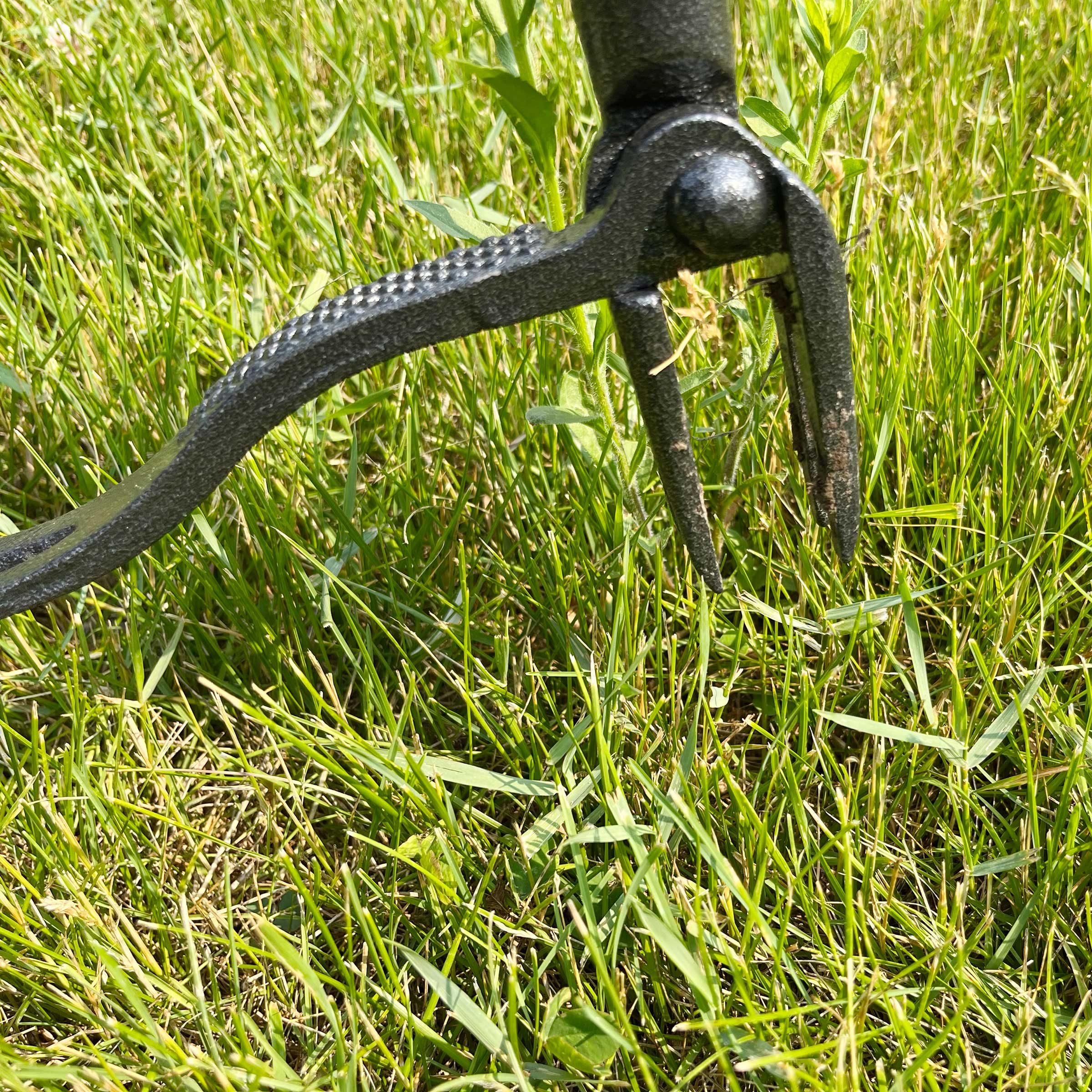 Img 5710 Grampas Weeder