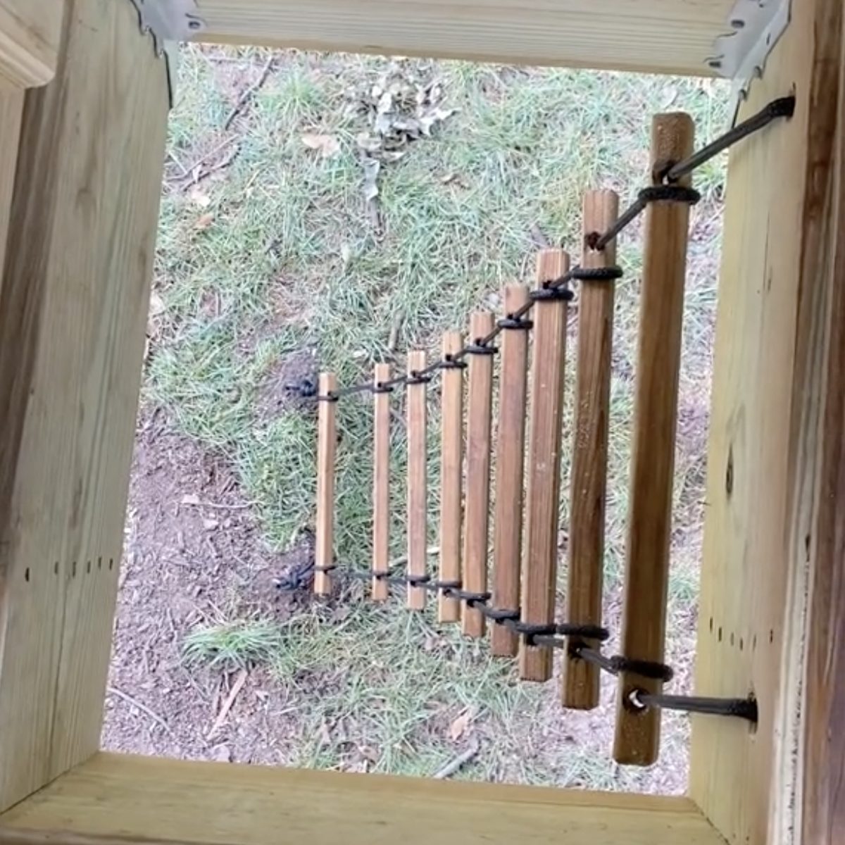 Multi Level Treehouse @treehouse Experts Via Tiktok