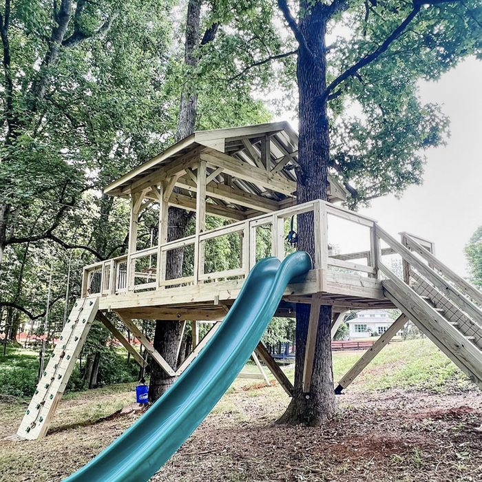 Two Trees Courtesy @fireflyforts Via Instagram