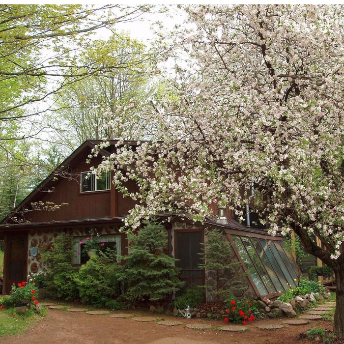 House with a flowering tree in the front
