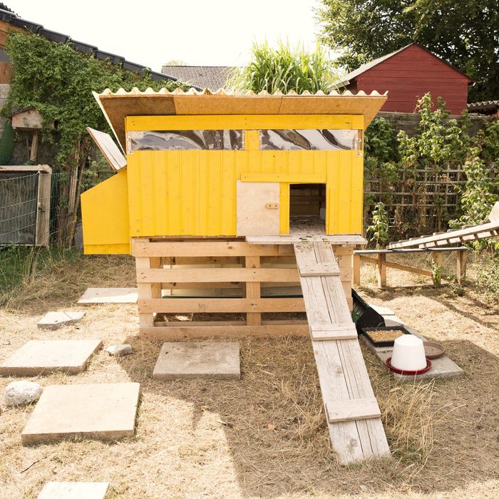 Chicken house in garden