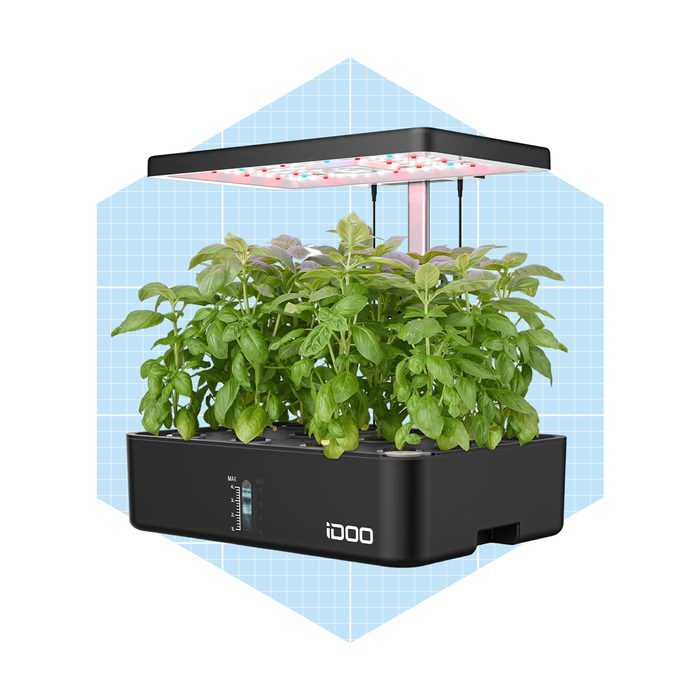 A compact indoor hydroponic system supports vibrant green basil plants, illuminated by adjustable LED lights, against a light blue grid background.