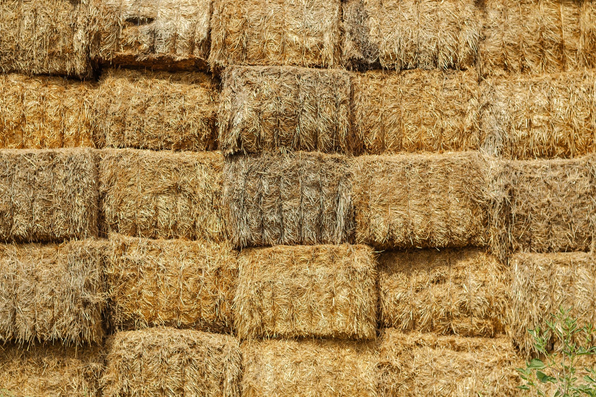 Warehouse of rectangular bales of hay. The uneven texture of a s