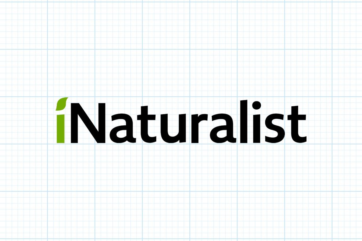 The Best Plant Identification Apps Inaturalist