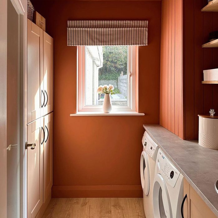 Bold Color of the Walls of a Laundry Room
