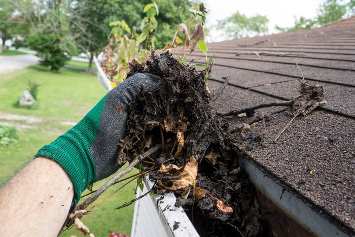 A gloved hand removes clumps of wet leaves and debris from a gutter, positioned on a roof with greenery visible in the background.